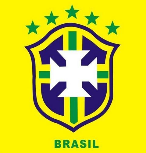 2014年世界杯:巴西队