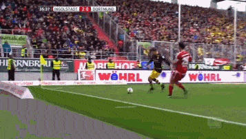 GIF 4.5M