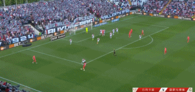 GIF 3.1M