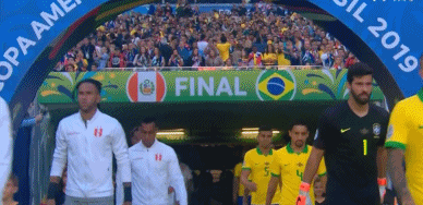 GIF 4.6M