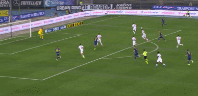 GIF 1.9M