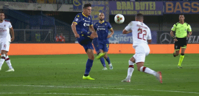 GIF:3.6M