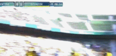 GIF 4M