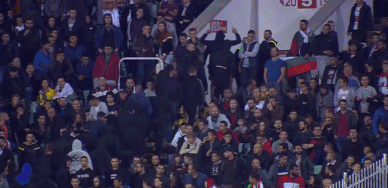 GIF 4.4M