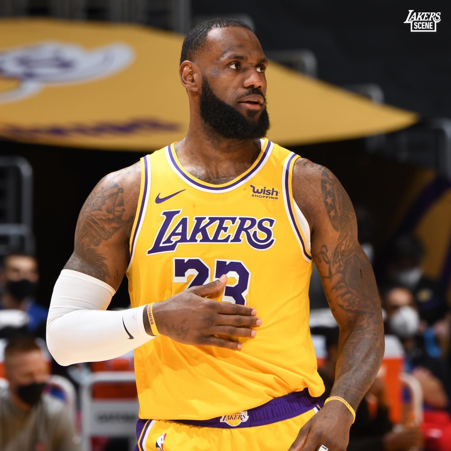 詹姆斯：我不知道什么时候开始对后撤步三分感觉很舒服