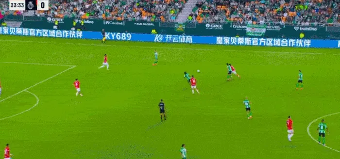 9.1手抓大雷免费网站登录