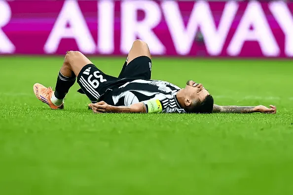 推特中文免费版下载风险官方版