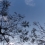 airball_