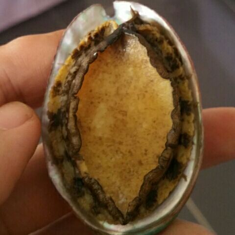 马布里:回美国会被媒体杀死,来中国不为钱_虎