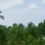 dugumupu