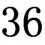 36cm