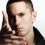 RealSlimShady