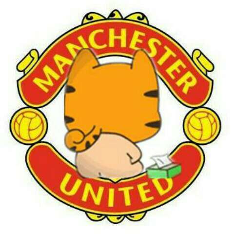 曼联助教:费莱尼的身体和精神属性都很强大_虎