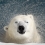 aibear