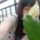 ��ʱ�о�
