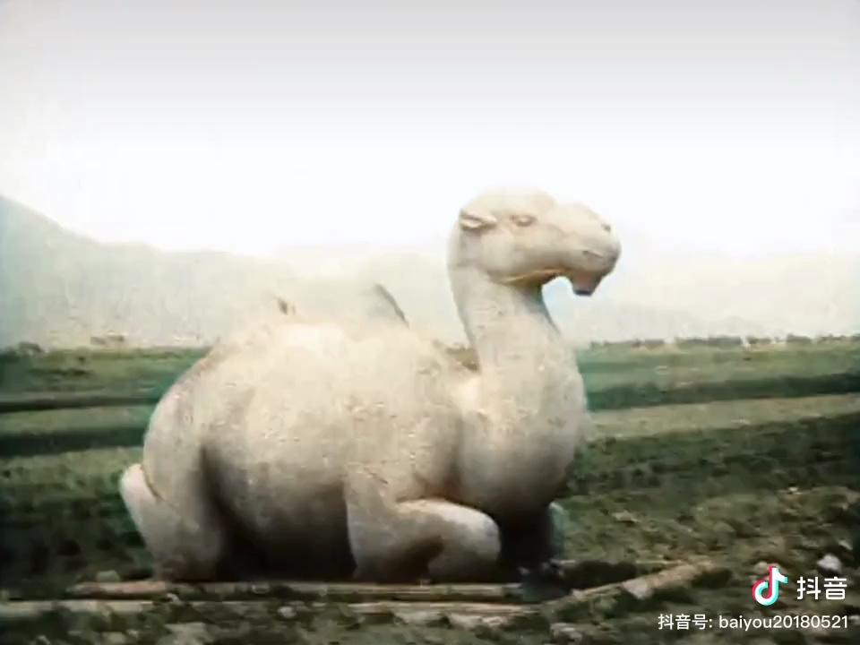video-poster