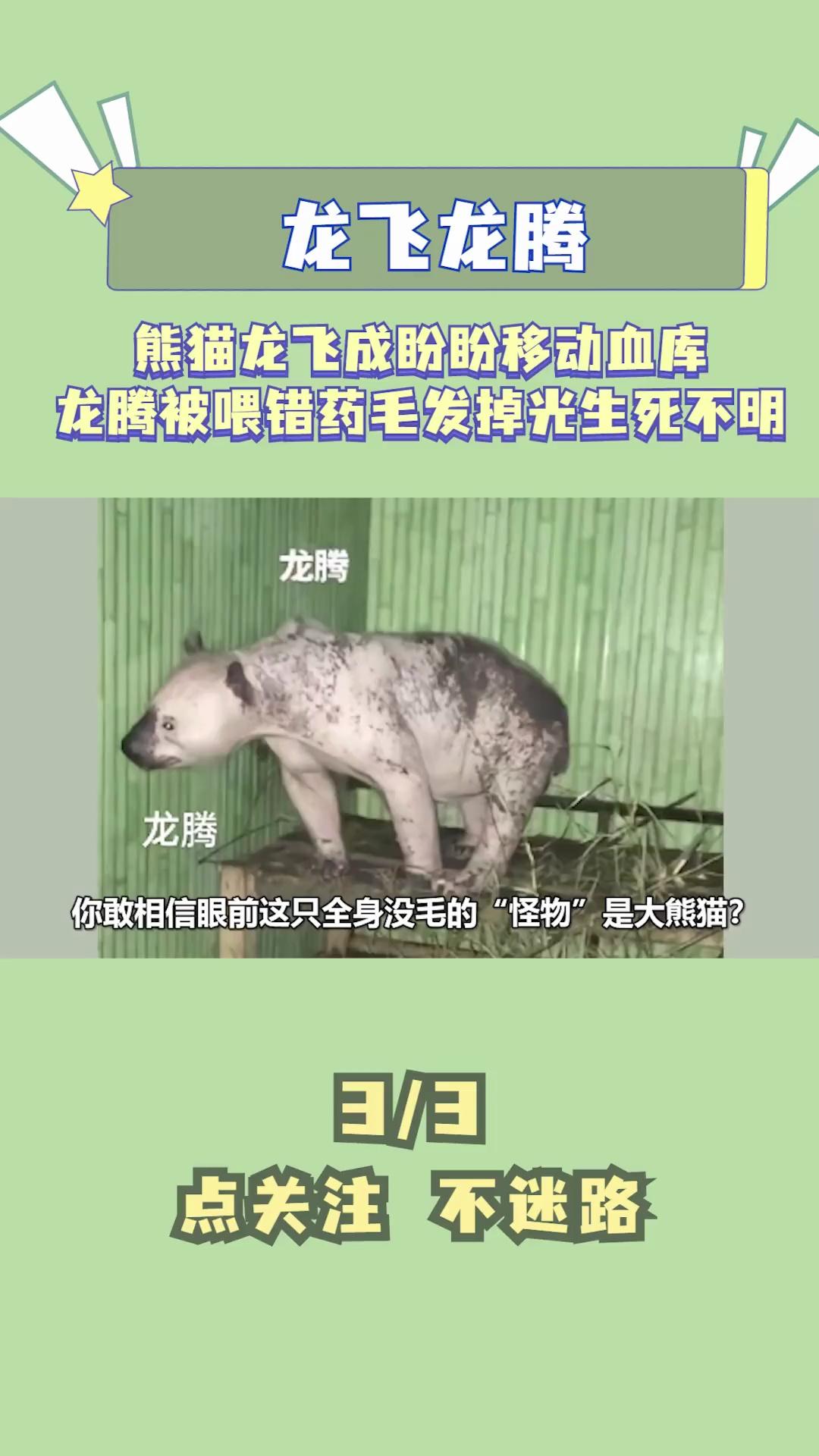 video-poster
