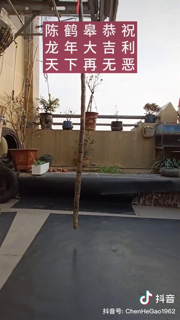 video-poster