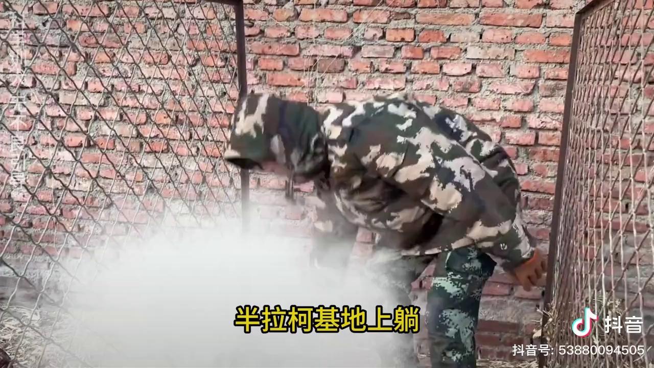 video-poster