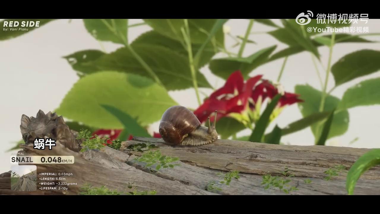 video-poster