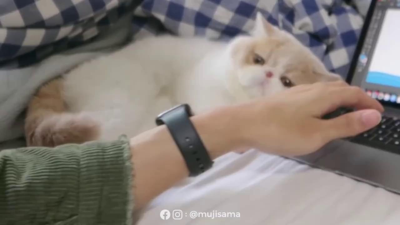 video-poster