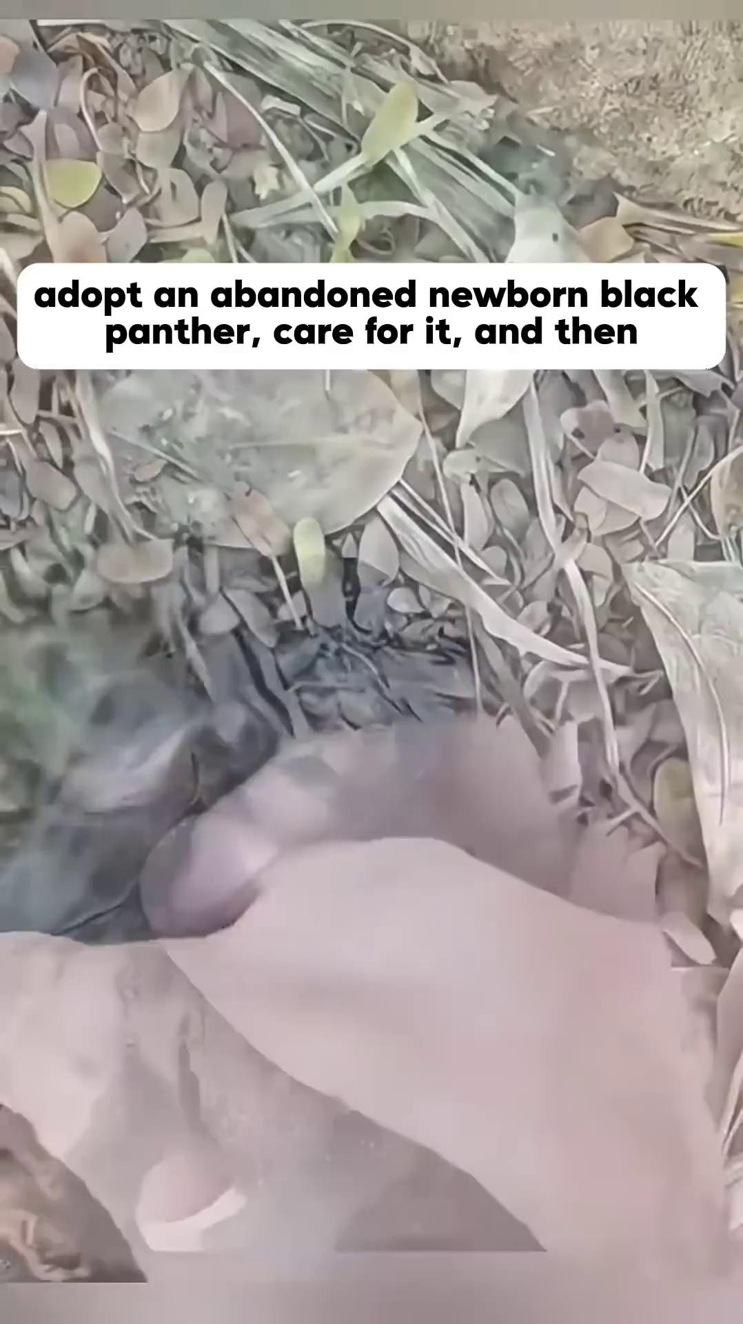 video-poster