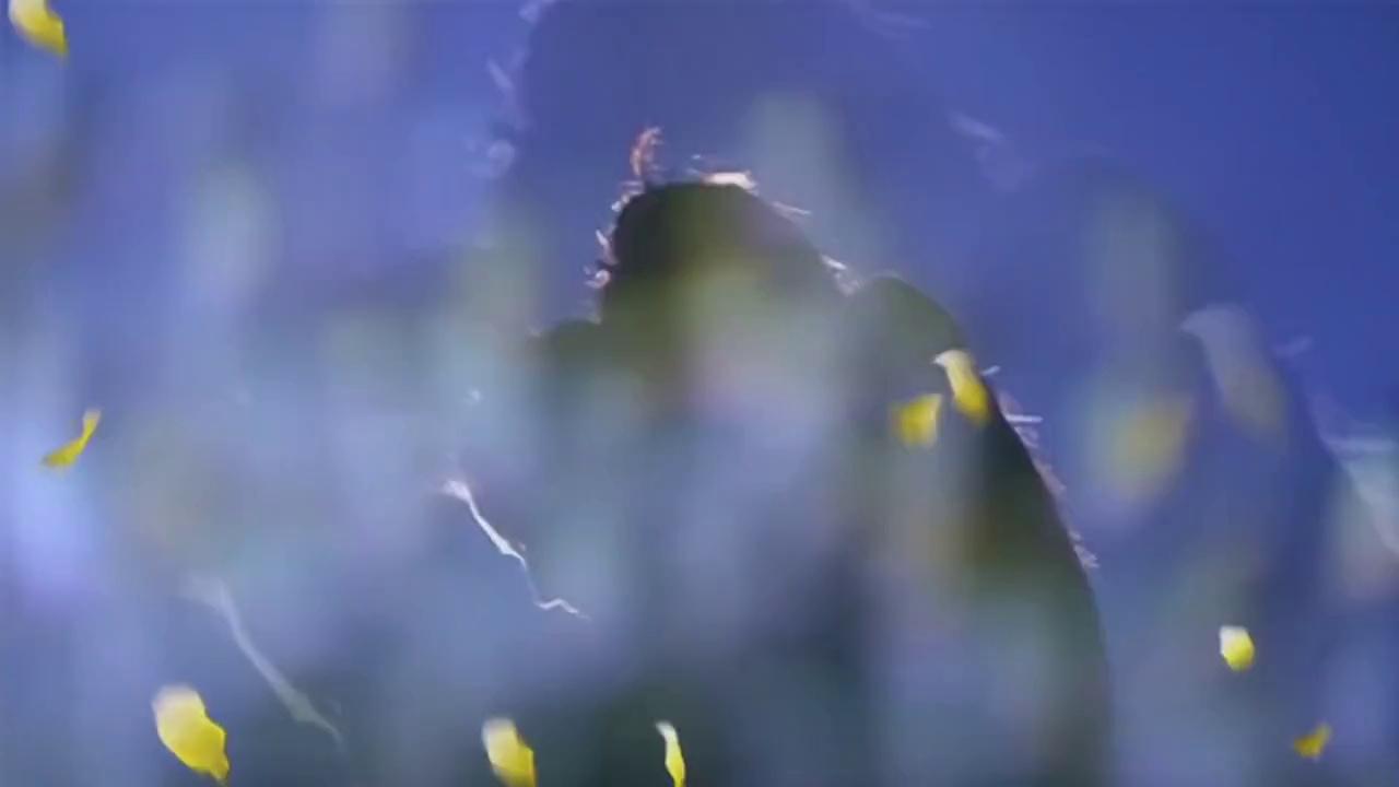 video-poster