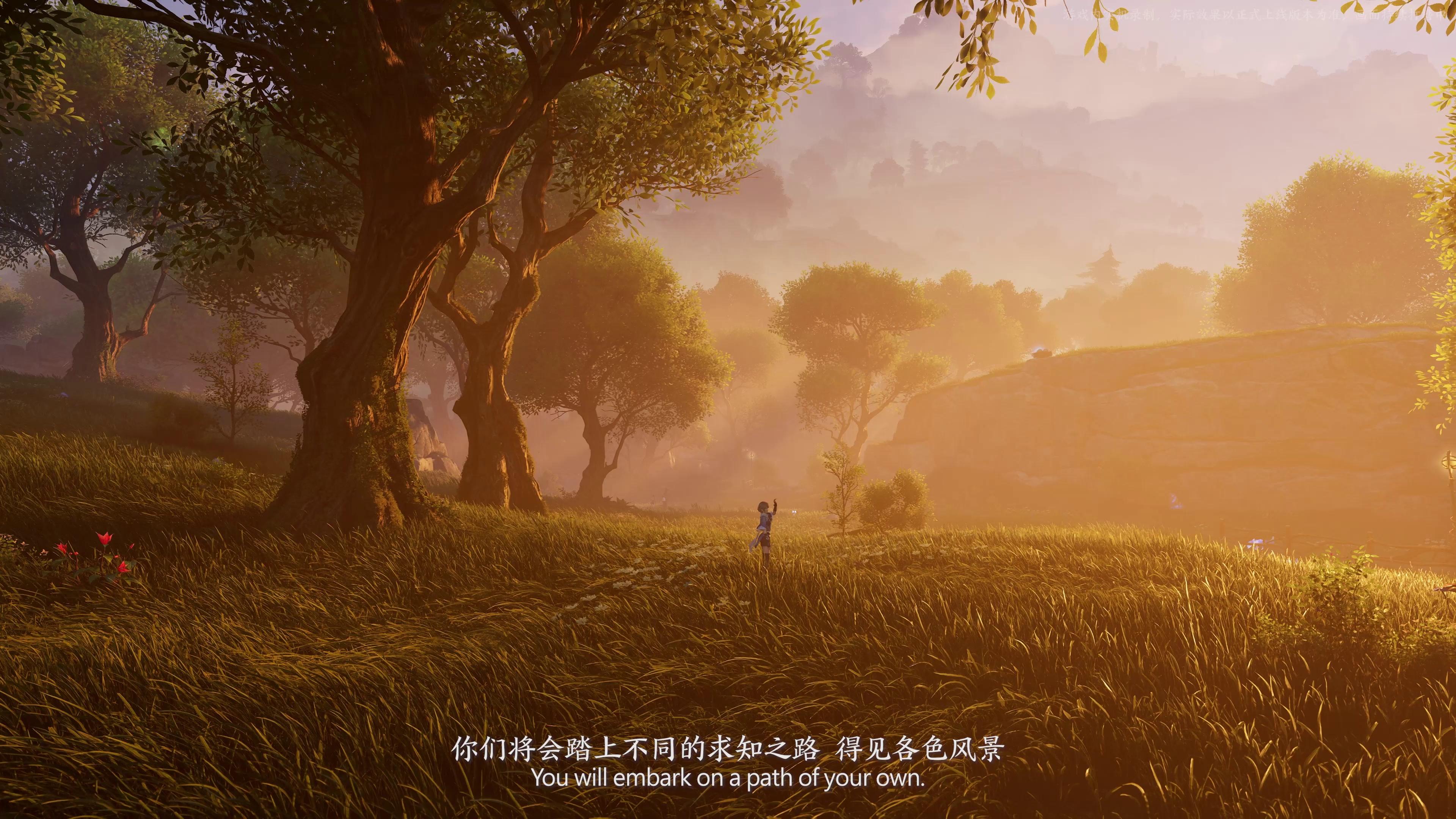 video-poster