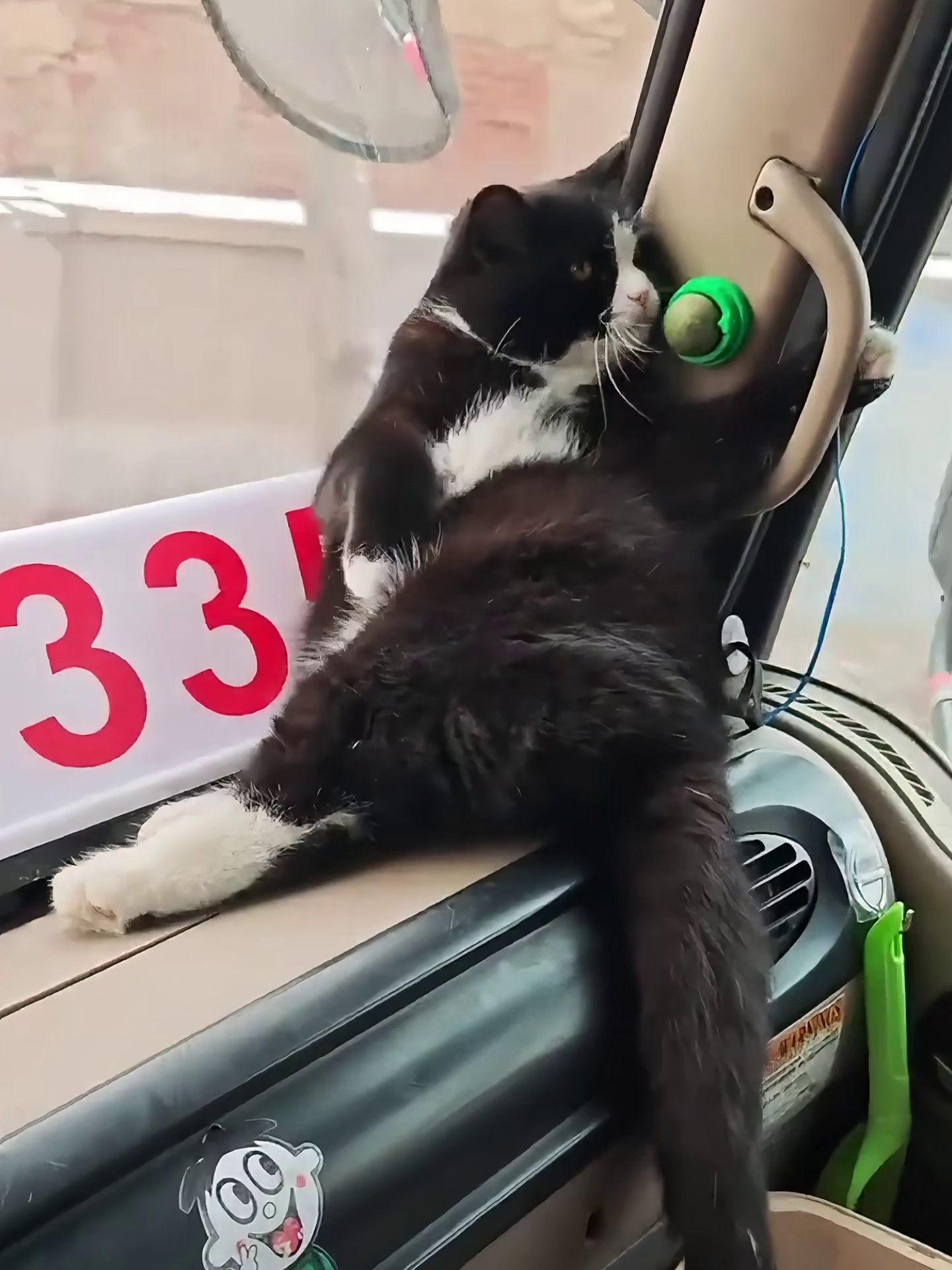 网络人物志第76期 奶牛猫饺子-步行街主干道-虎扑社区