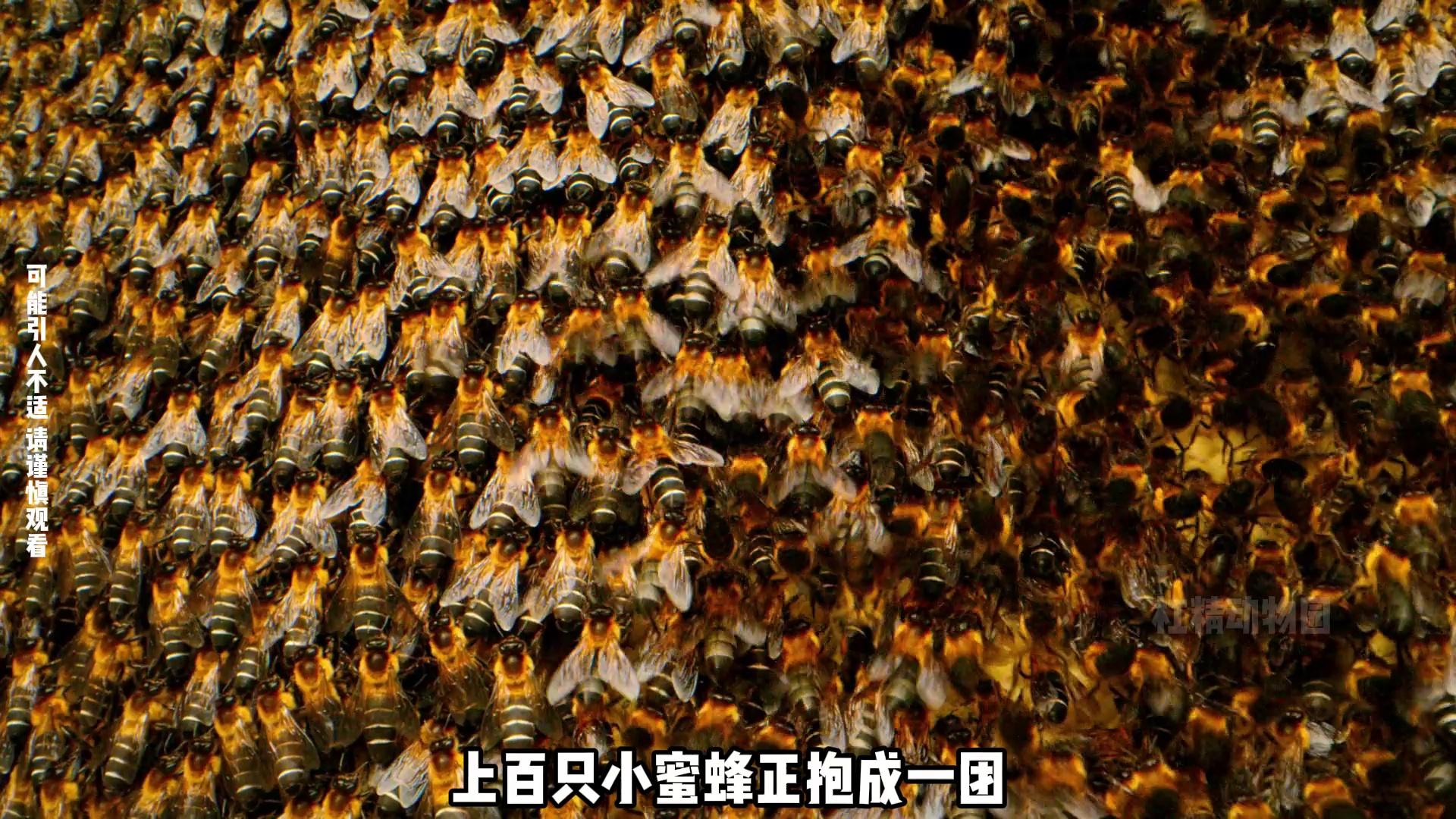 video-poster