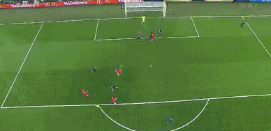 GIF 4.8M