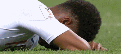 GIF 3.8M