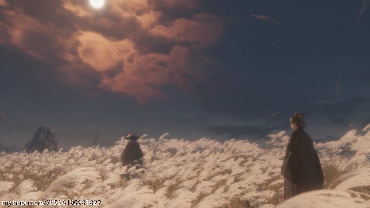 只狼二周目已通,我是不是可以去挑战黑血仁了