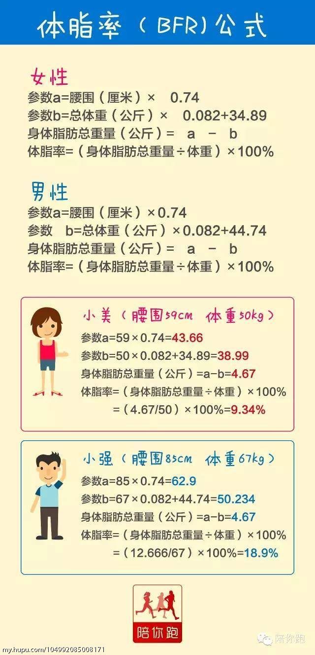 关于体脂率的计算方法