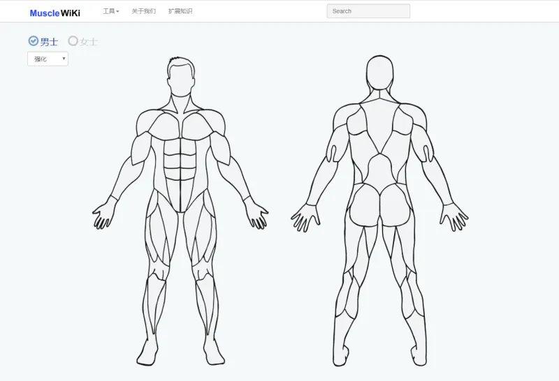 MuscleWiki官网
