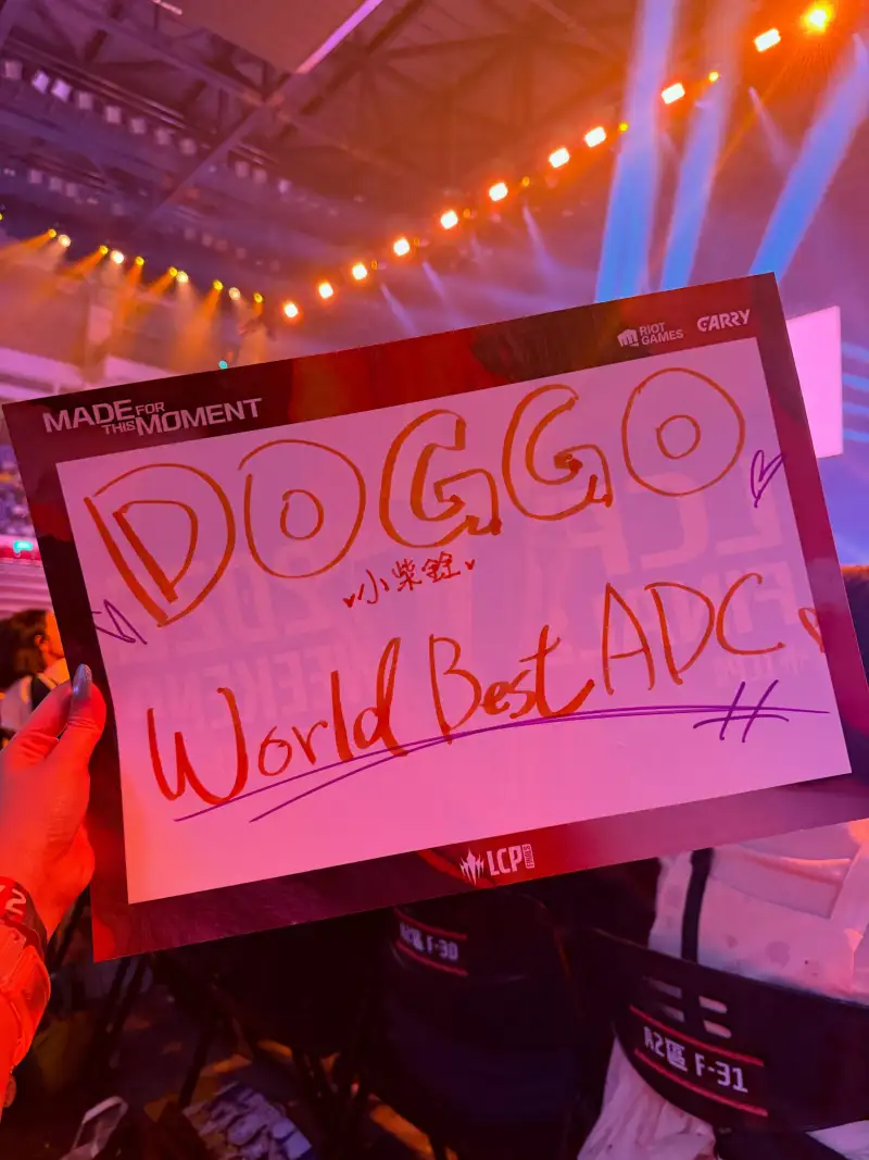 [每日航班]哇是亚运会AD诶，今天看下Doggo女粉