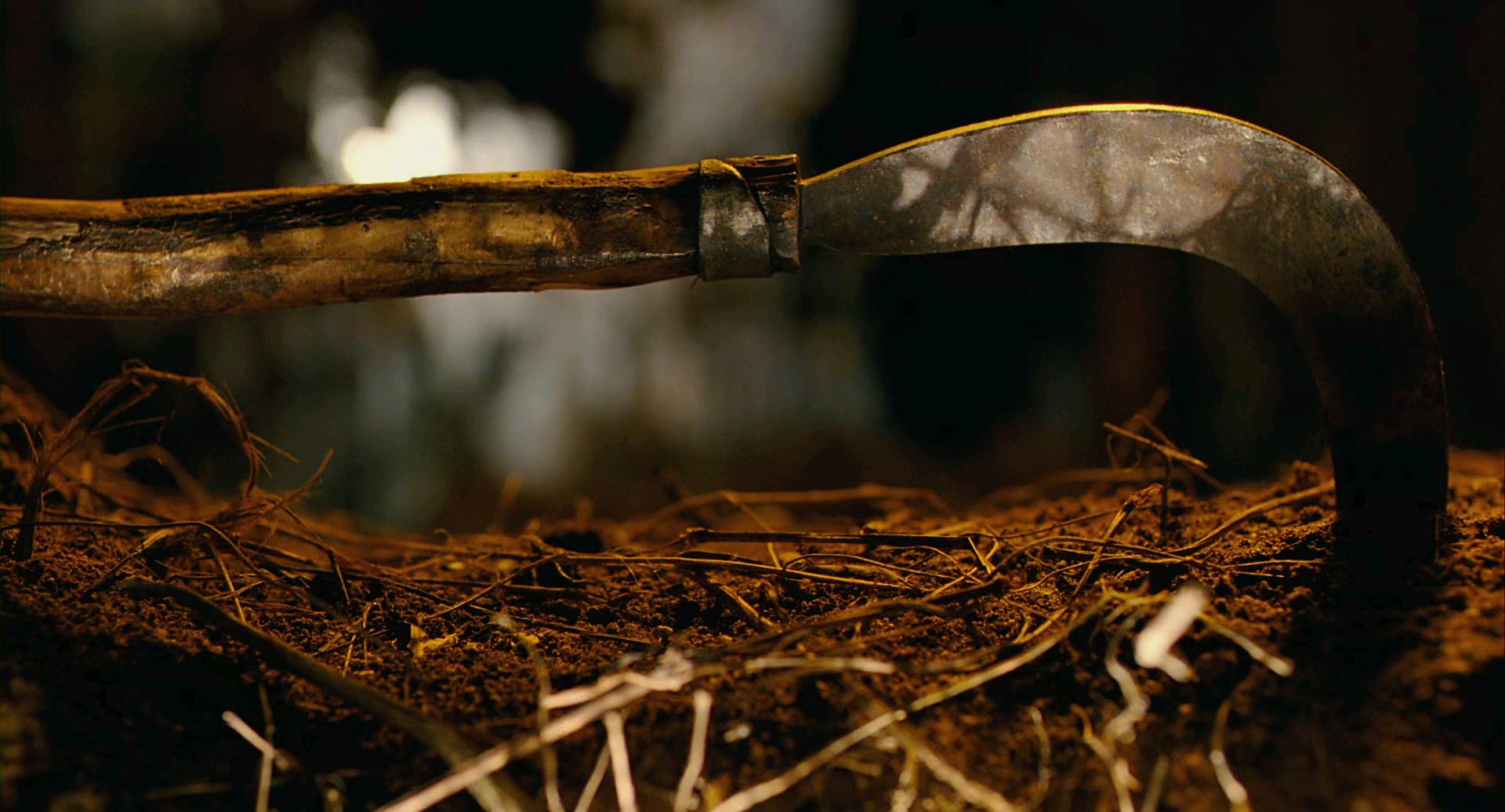 I see saw the new