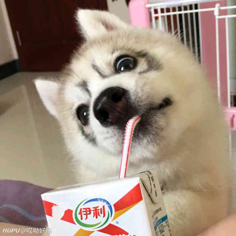 岁时得不到的东西30岁得到了还有意义吗 虎扑