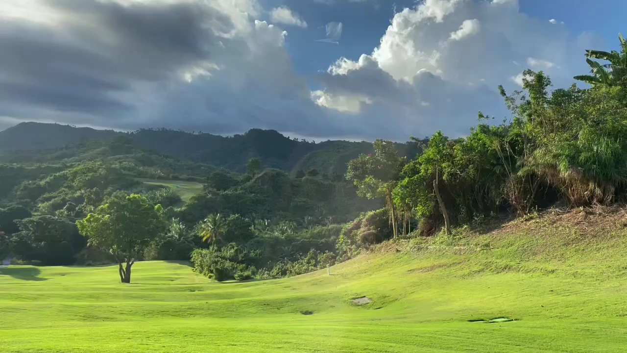 video-poster