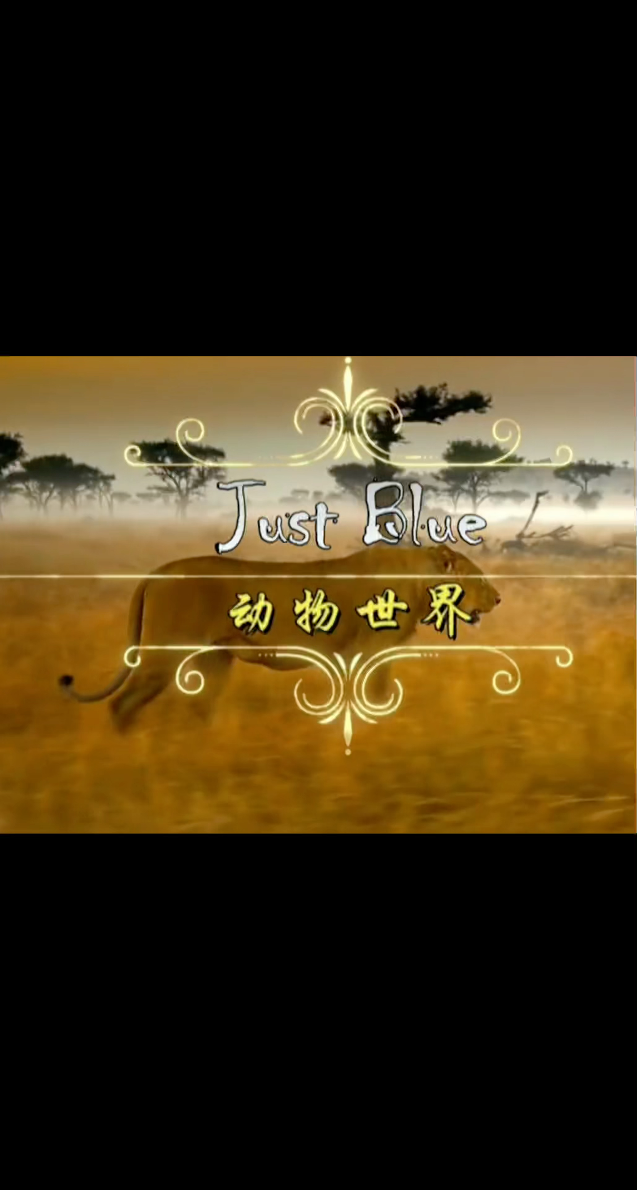 video-poster