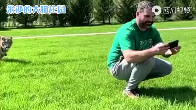 video-poster