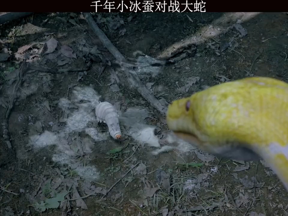 video-poster