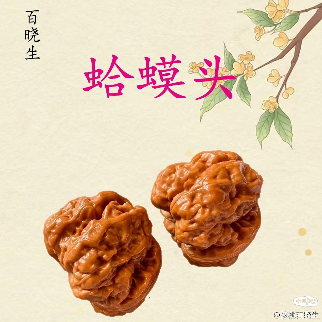 蛤蟆头_文玩核桃品种评分_虎扑评分