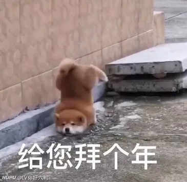 我这身旗袍什么水平 19年1月30日虎扑存档 看帖神器