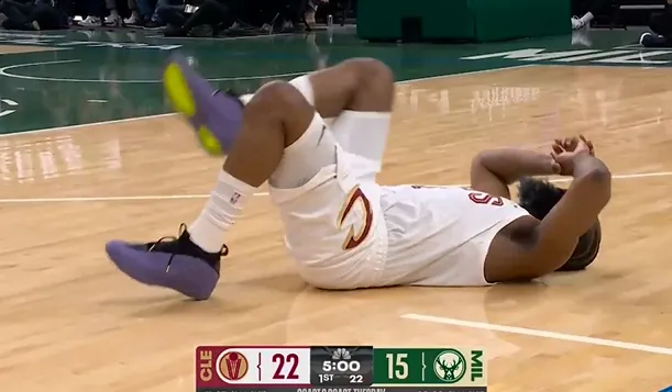 >樂魚app官方下載入口2024最新版