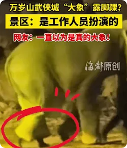 景区回应万岁山武侠城大象露脚踝：是人扮演的