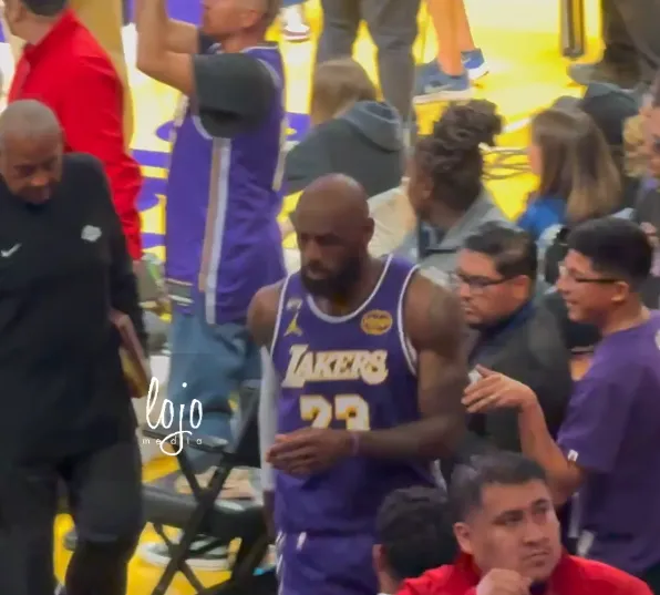 樂魚app官方下載入口講解