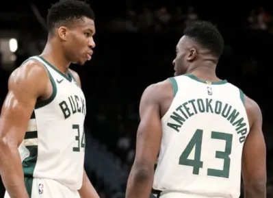 >kaiyun體育手機(jī)版登陸安卓版