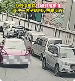 暴露马脚！男子伪造邻居车牌30秒2次入库