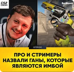 趣味问答：职业选手眼中最被低估的武器?